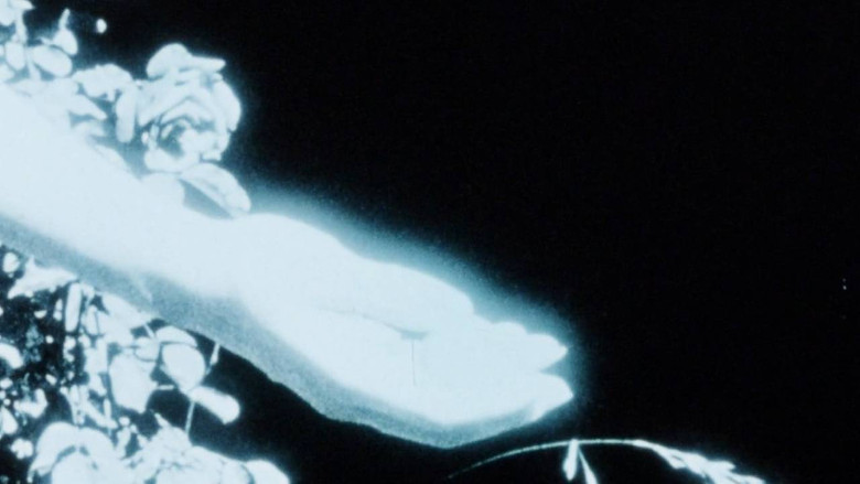 Gallery image from 3IoMtt684gM6VKZRmacdRtC2UXI.jpg