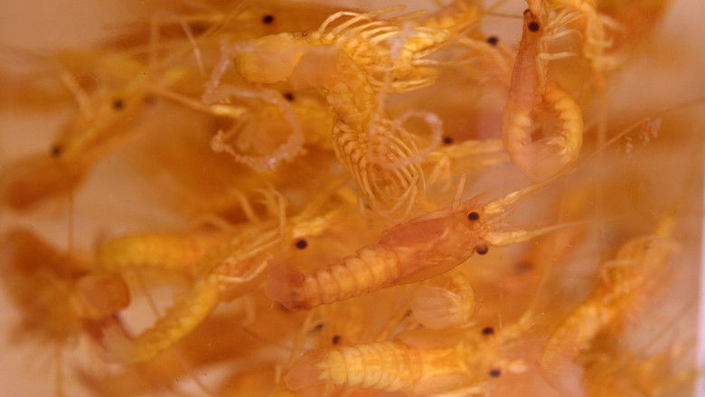 Gallery image from 3JCocw0RyfRYkuSlccZ1NGRCHZh.jpg