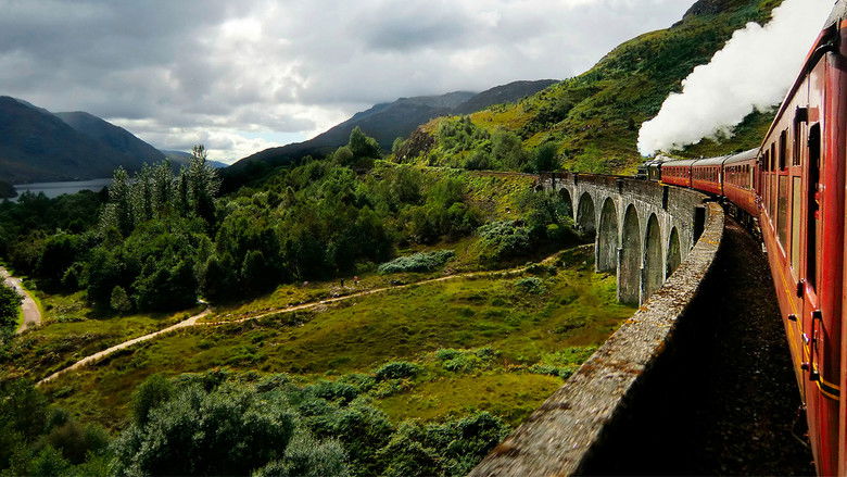 Backdrop de Harry Potter - Col·lecció