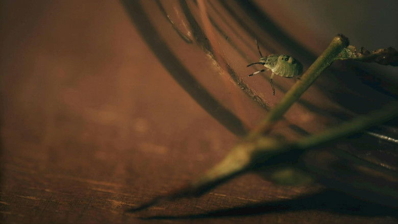 Gallery image from 3K4dWHRIZZltFnng1JvBAUztTx8.jpg