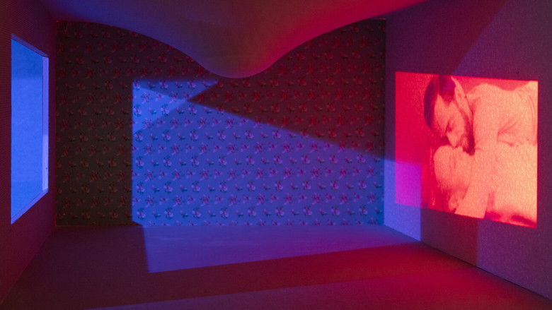 Gallery image from 3KN2rLSnzYxNOll0EPVh6gA9Czk.jpg