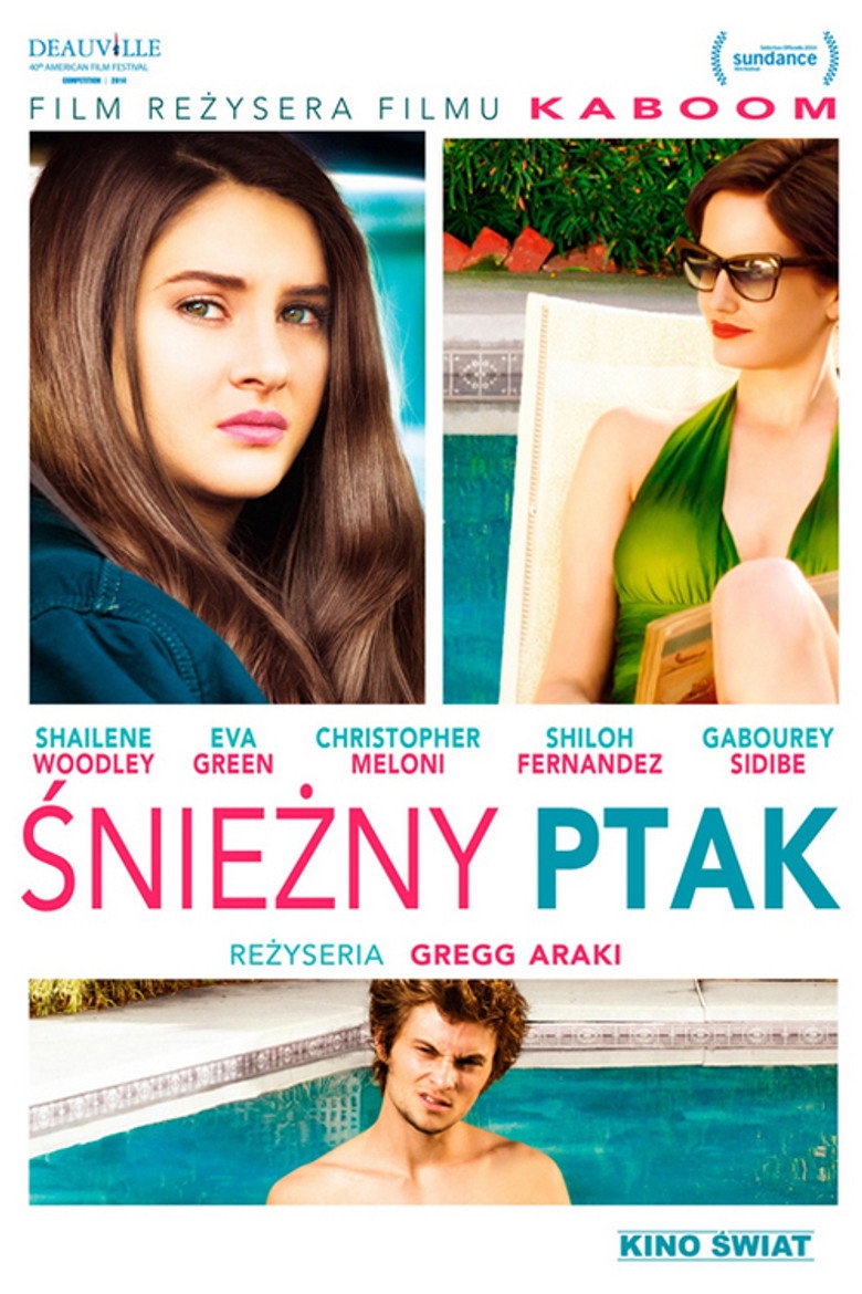 Śnieżny ptak (2014)