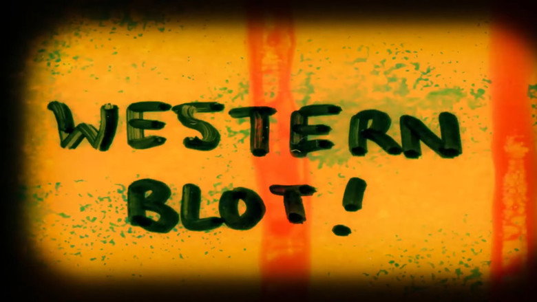 Imatge de Western Blot!