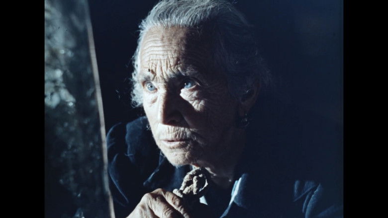 Gallery image from 3LDlYuN4PoPt722v181JqGvlwz6.jpg