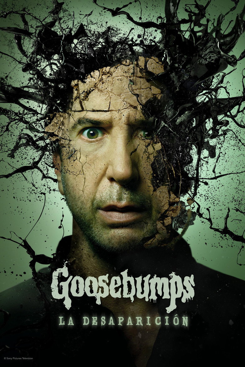 Póster la Serie