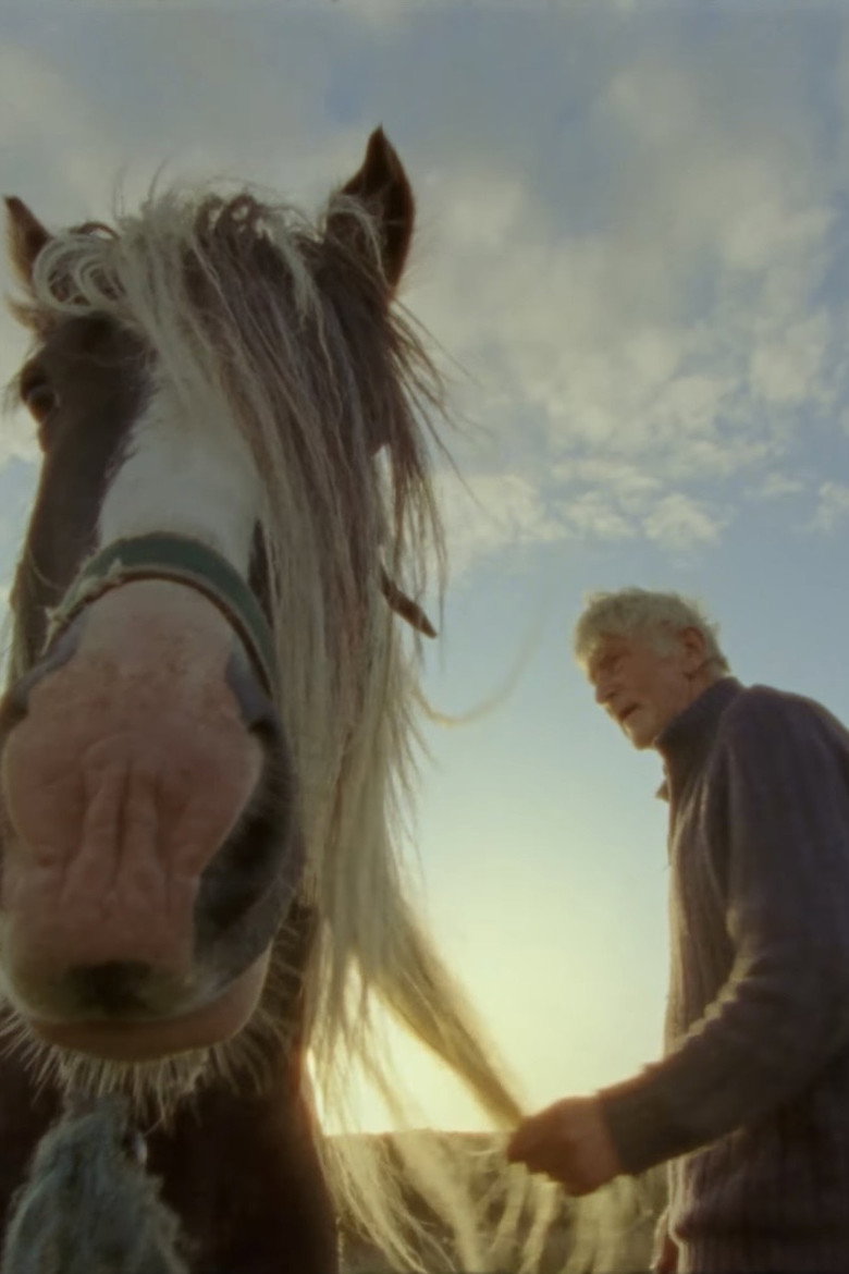 Travelling Home