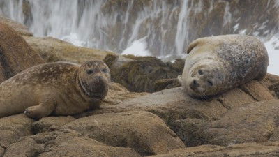 Still image for Wild Wild East season 1 episode 4: Tides Still image for Wild Wild East season 1 episode 4: Tides