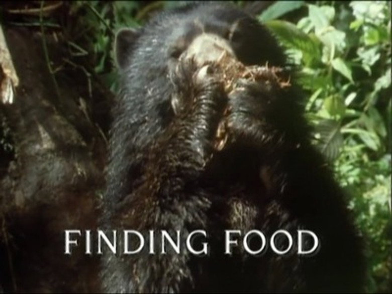 Still from Trials of Life - Season 1 Episode 3