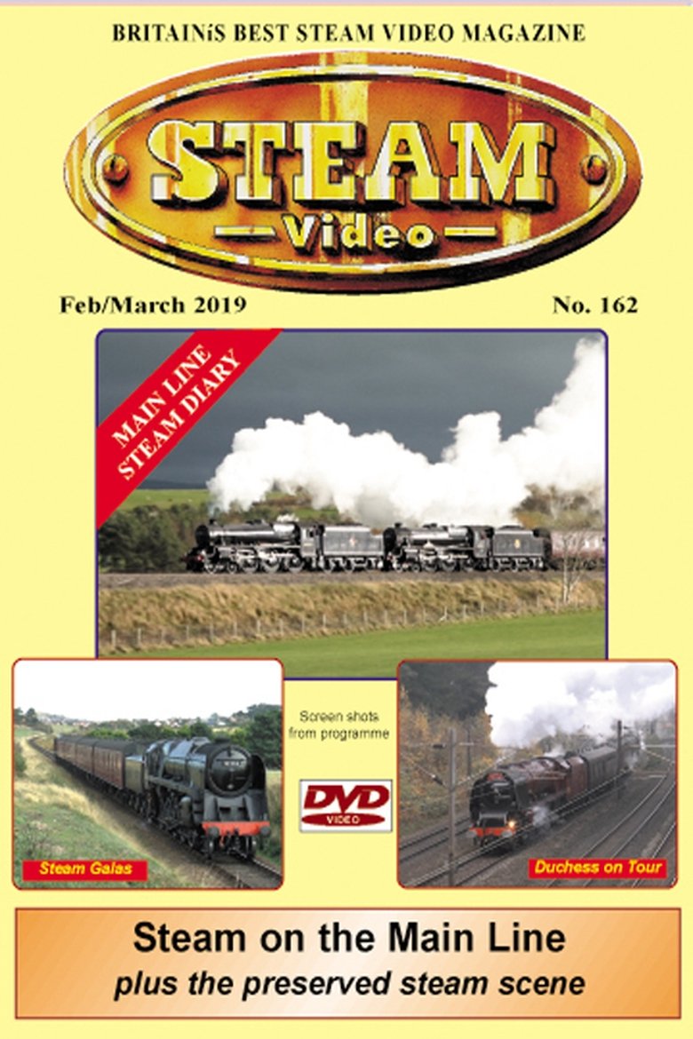 Steam Video 162 (2019)