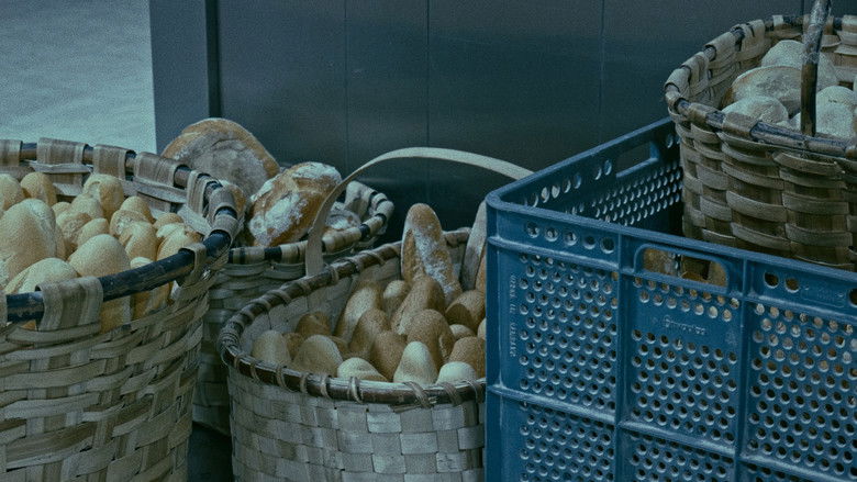 The Mechanics of Film Photo 2