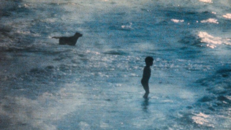 La plage movie poster