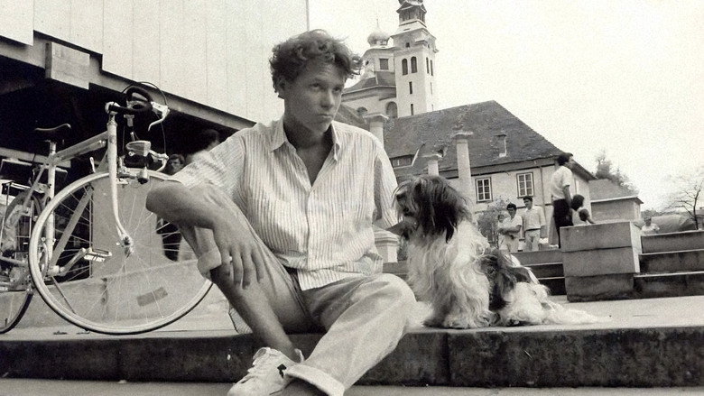 Image d'arrière-plan 4 du film Poletje v školjki 2