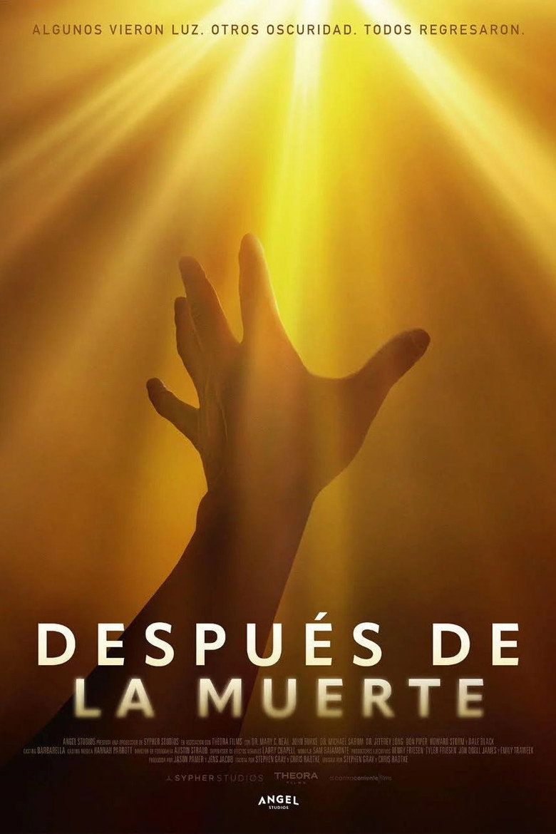 Póster la Película