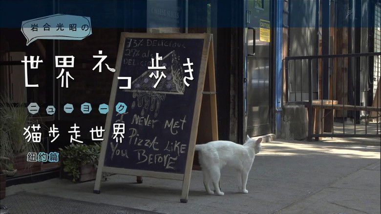 Still image for Mitsuaki Iwago's World “Cats” Travelogue season 1 episode 42: New York Still image for Mitsuaki Iwago's World “Cats” Travelogue season 1 episode 42: New York