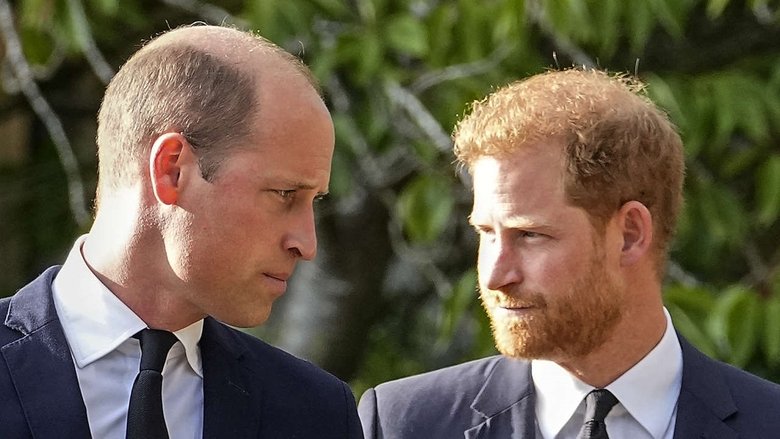 Harry vs. William: Der royale Bruderzwist main backdrop