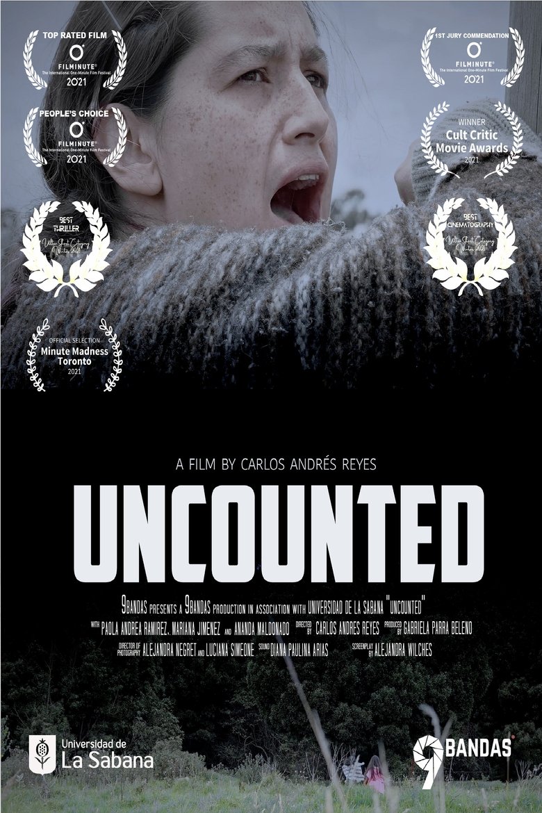 Uncounted main poster
