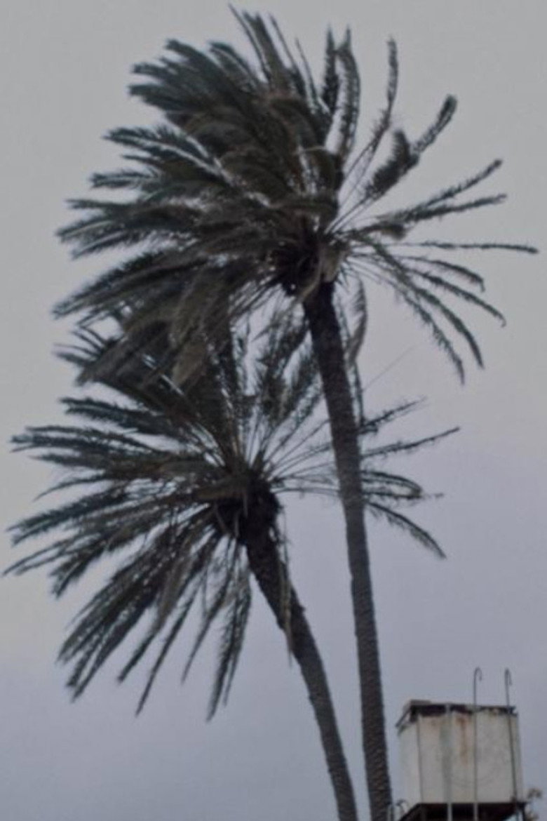 Landscape at Noon background