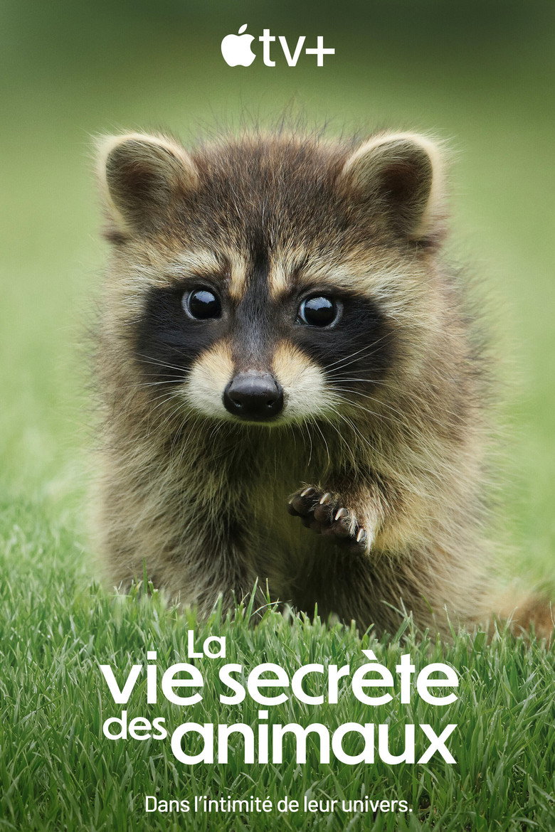 Póster la Serie