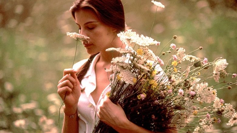 ดูหนัง Stealing Beauty (1996) ความงดงาม…ที่แสนบริสุทธิ์