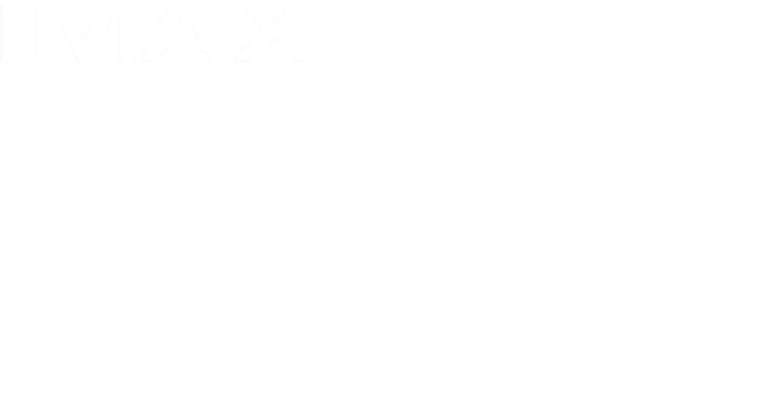 Born to Be Wild