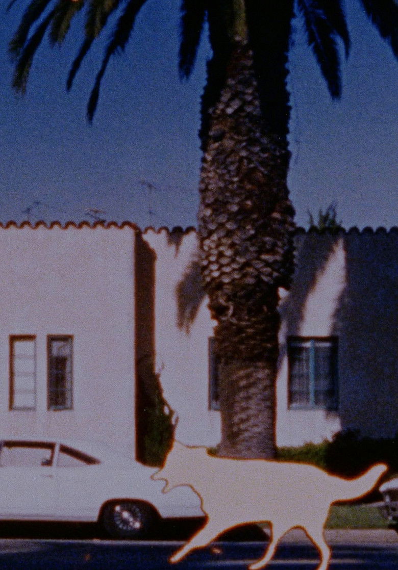 Imatge de Foregrounds