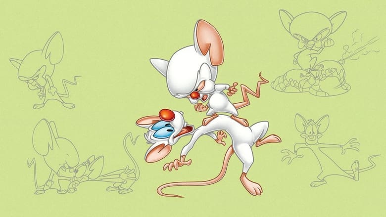 Pinky and the Brain banner backdrop