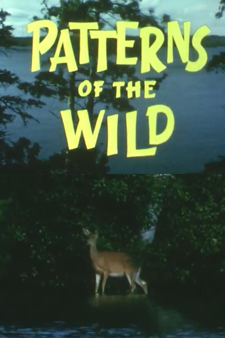 Patterns Of The Wild (1966)