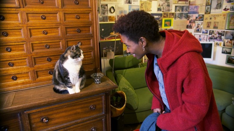 Kitty Love: An Homage to Cats (2020)