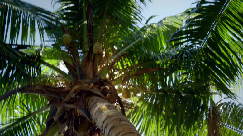 Still image for The Island season 1 episode 23: Episode 23 Still image for The Island season 1 episode 23: Episode 23