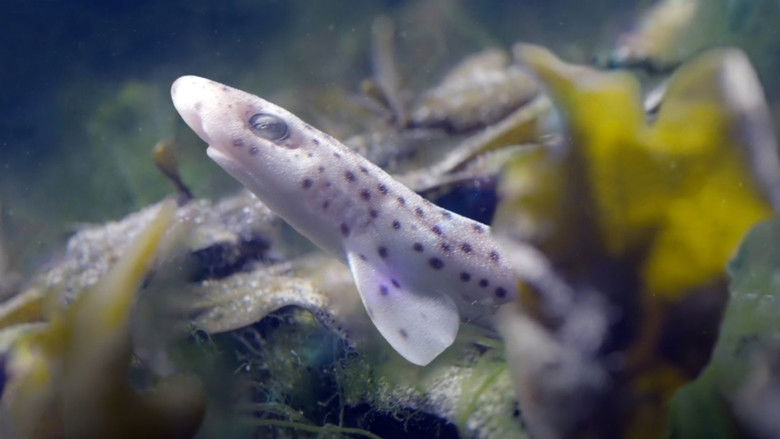 Gallery image from 3SFMYIlRiaLSyVeM5V6hn5m87VR.jpg