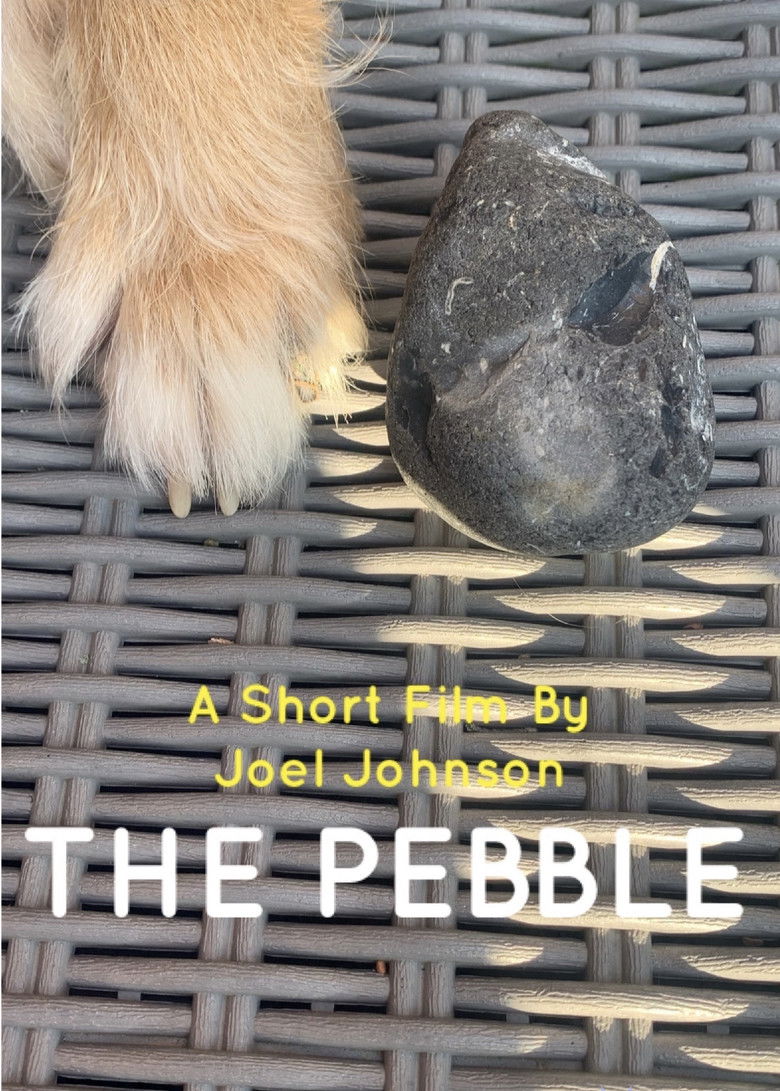 Imatge de The Pebble