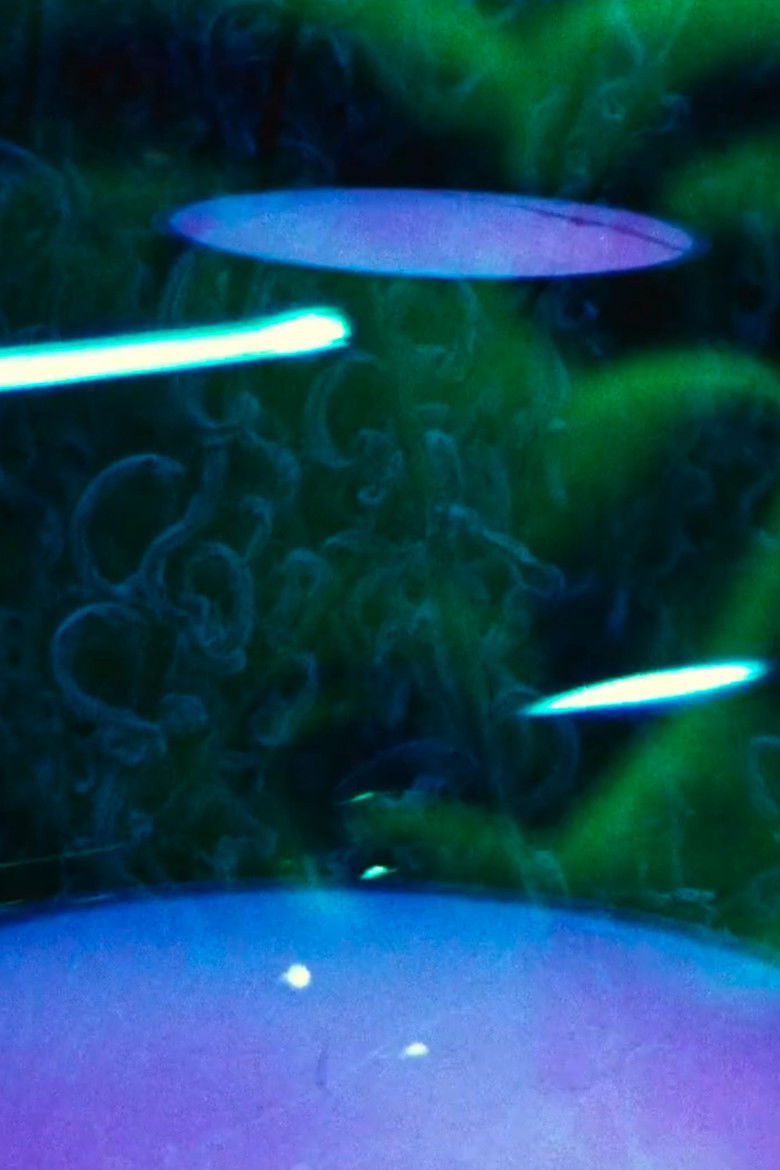 Imatge de Ruling Star