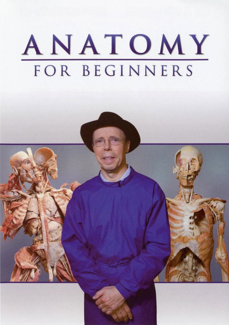 Anatomy for Beginners