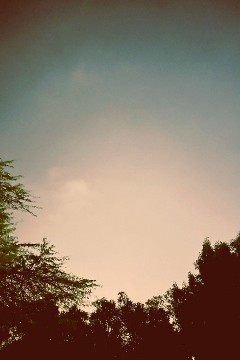 A dream within a Dream background