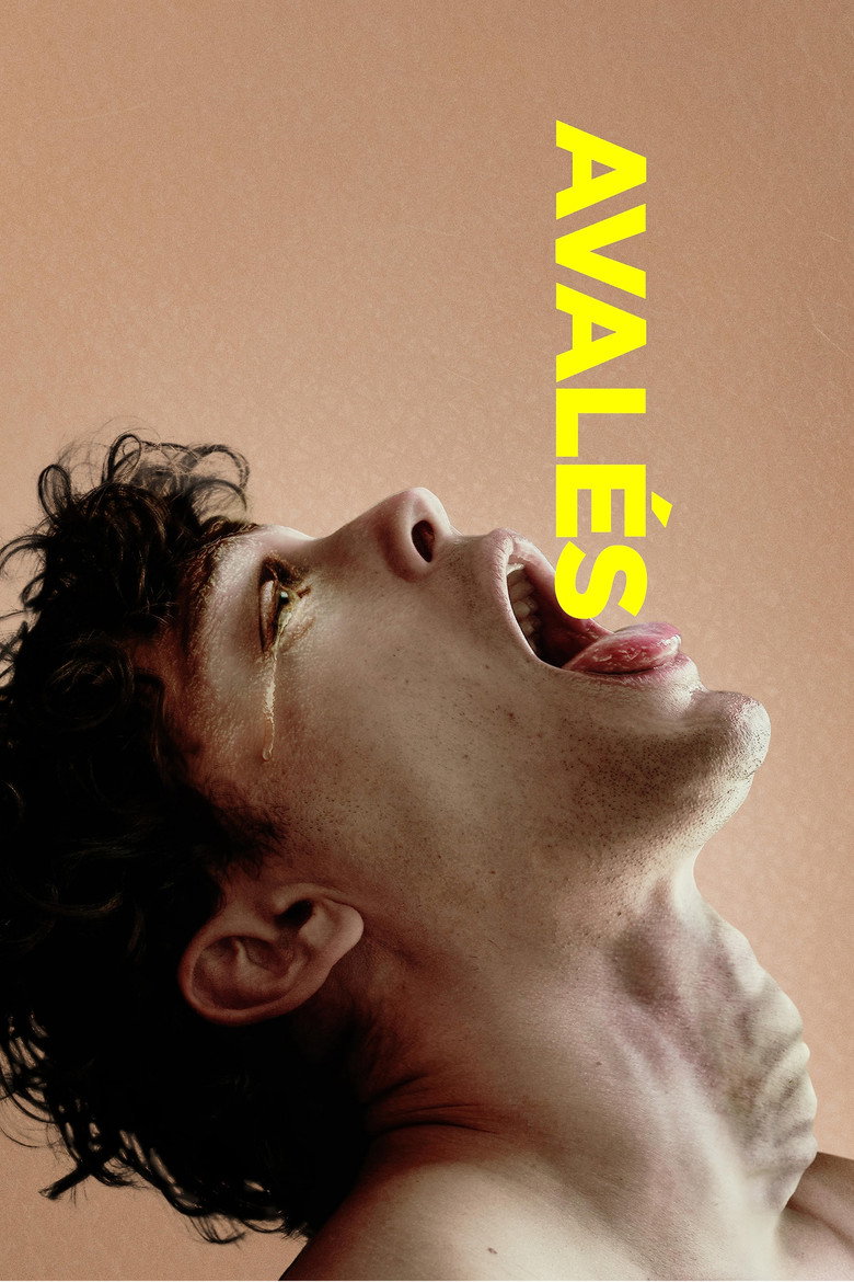 Póster la Película