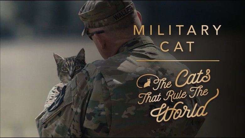 Military Cat, Izzy