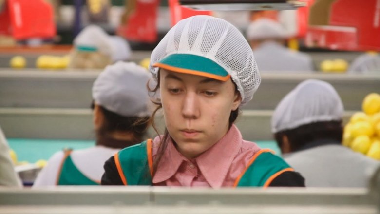The Girl in the Lemon Factory movie poster