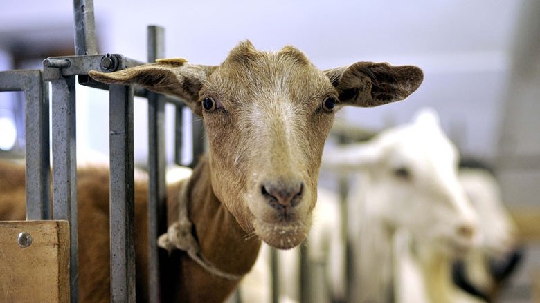 Kluci v akci Sezóna 1 Epizoda 172 bombuj