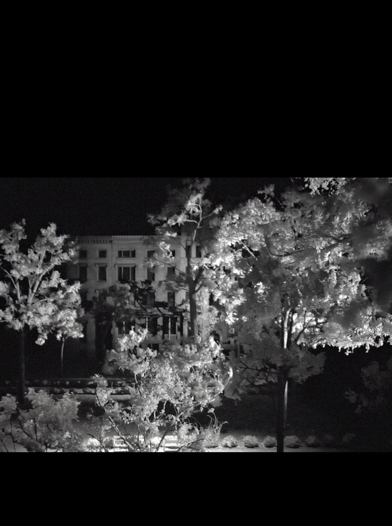 View Through a Park background