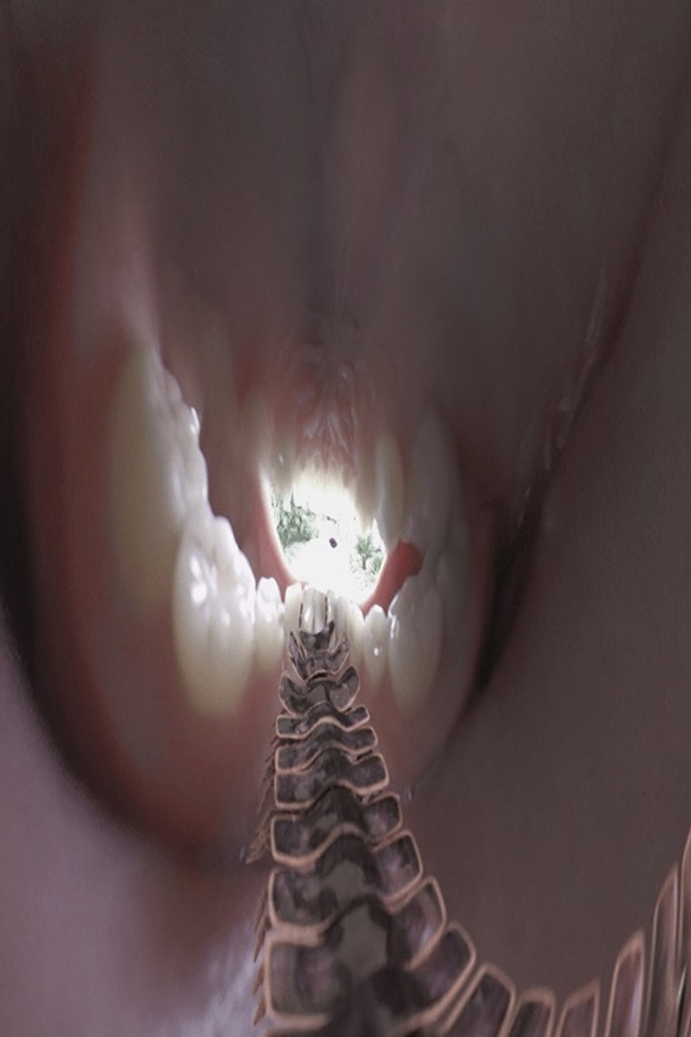 mouthbreather background