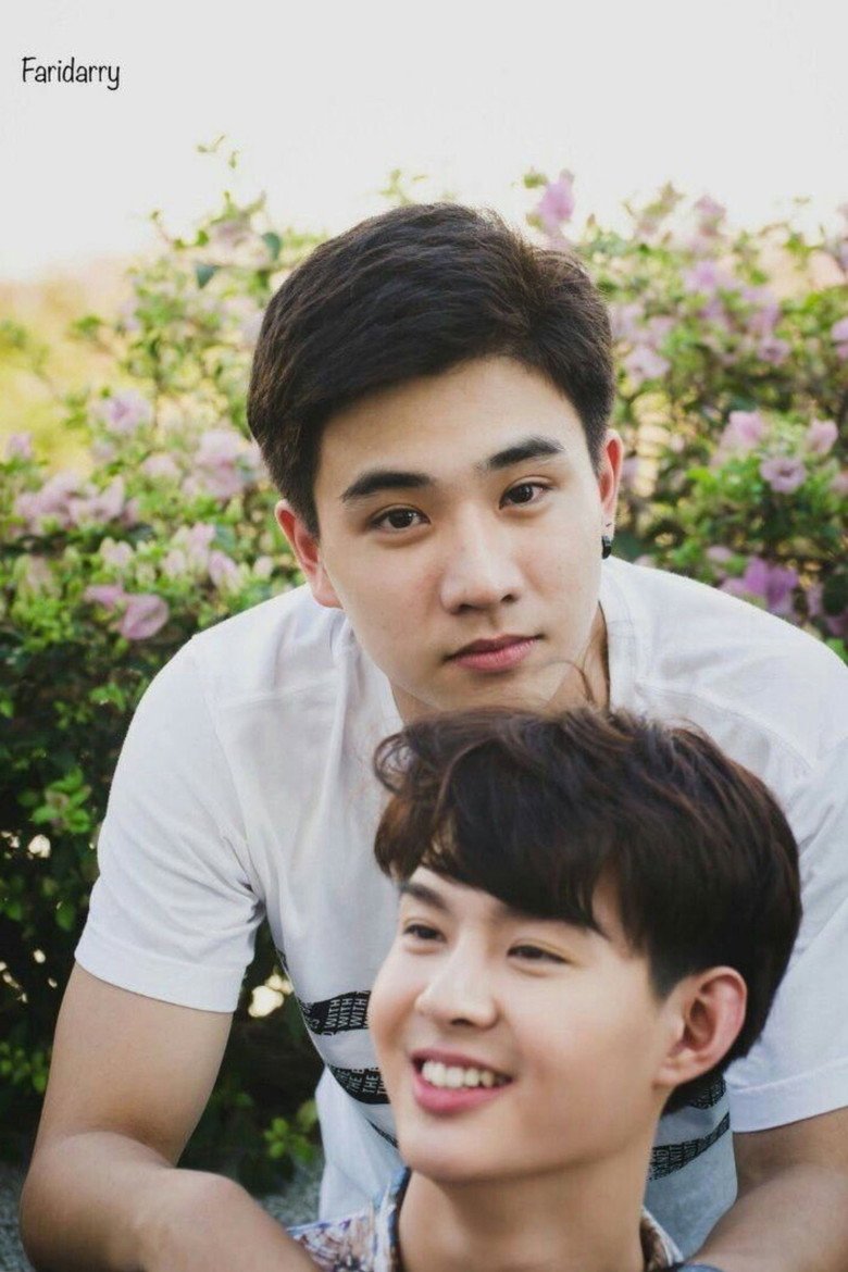 Imatge de Love By Chance