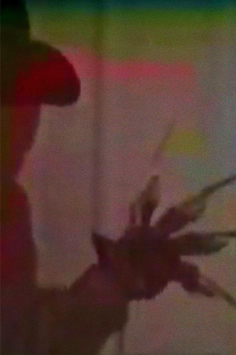 포스터 또는 이미지 A Nightmare on Elm Street 3: The Fan Film Recreation