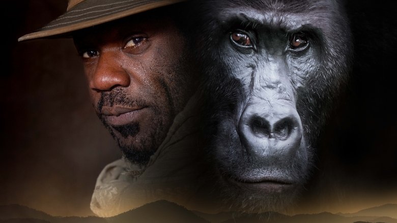 Silverback (2024)