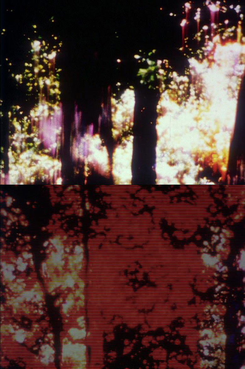 Imatge de Trees of Syntax, Leaves of Axis