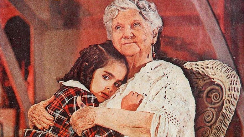 Mundo de Juguete image 1