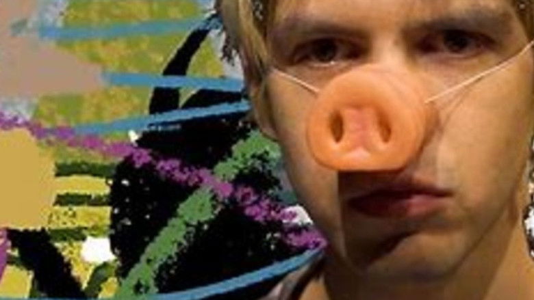 Медиа изображение