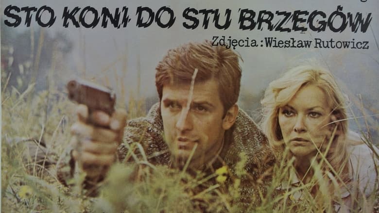 Sto koni do stu brzegów