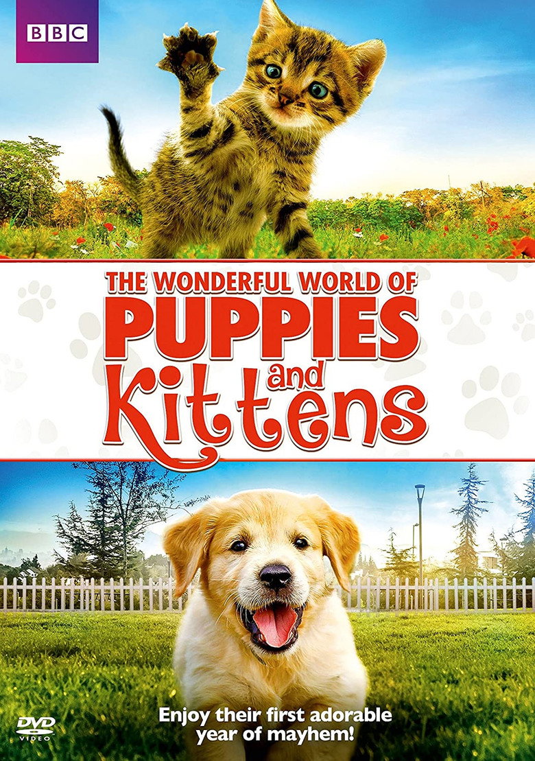 The Wonderful World of Puppies and Kittens (2016) poster