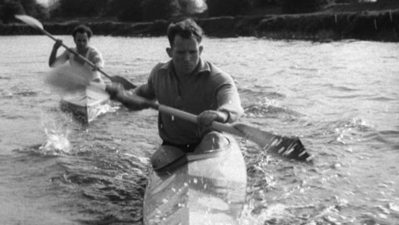 Gallery image from 3XyX28YDF316yxh4k5F9P5GeeP2.jpg