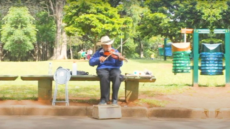 Imatge de José Rosa